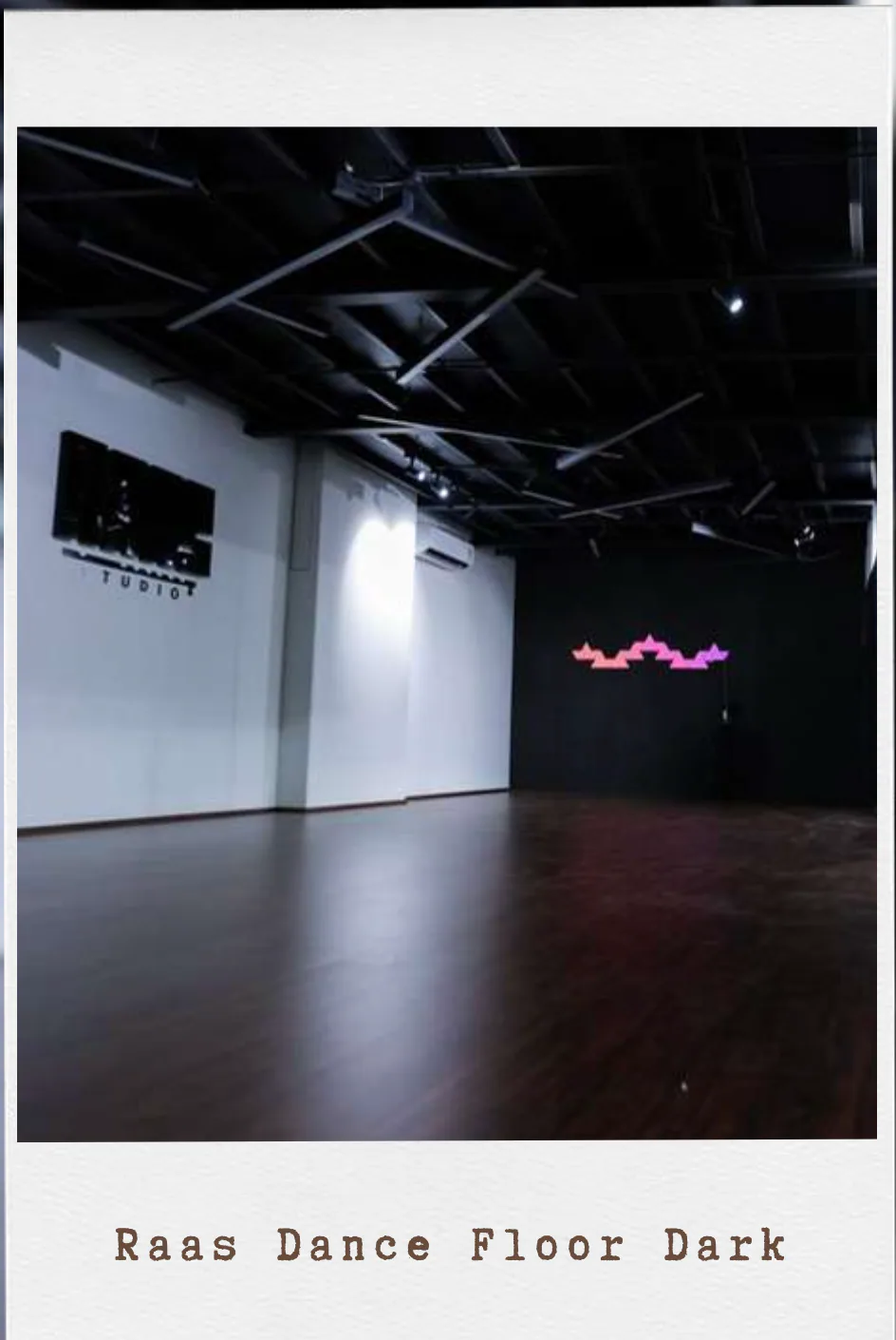 Raas Dance Floor (Dark)